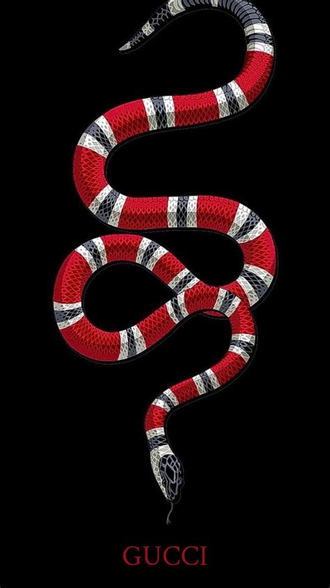 collarino gucci serpente|snake in Gucci.